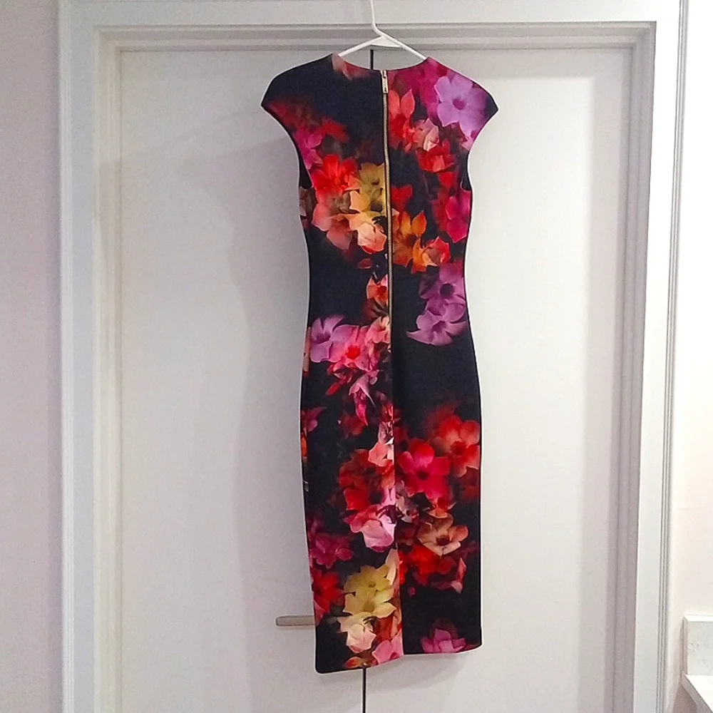NWT! Ted Baker Catina Cascading Floral Sheath Ted 1(US 4) - Picture 6 of 15